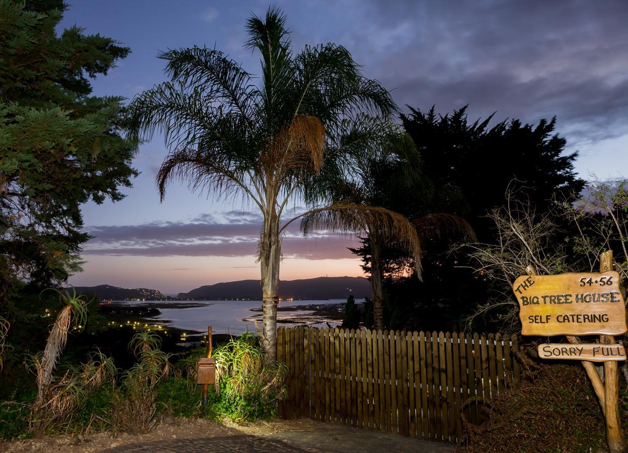 Big Tree House Lodge Knysna Kültér fotó