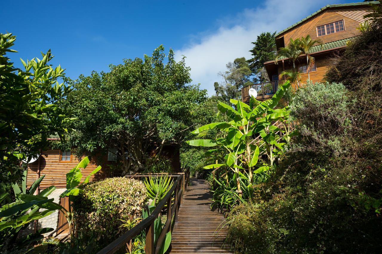 Big Tree House Lodge Knysna Kültér fotó