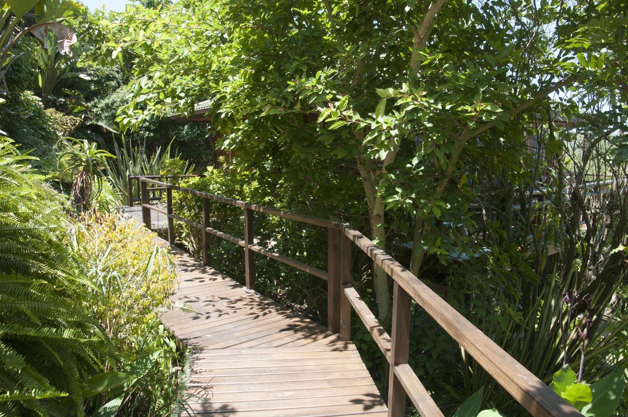 Big Tree House Lodge Knysna Kültér fotó