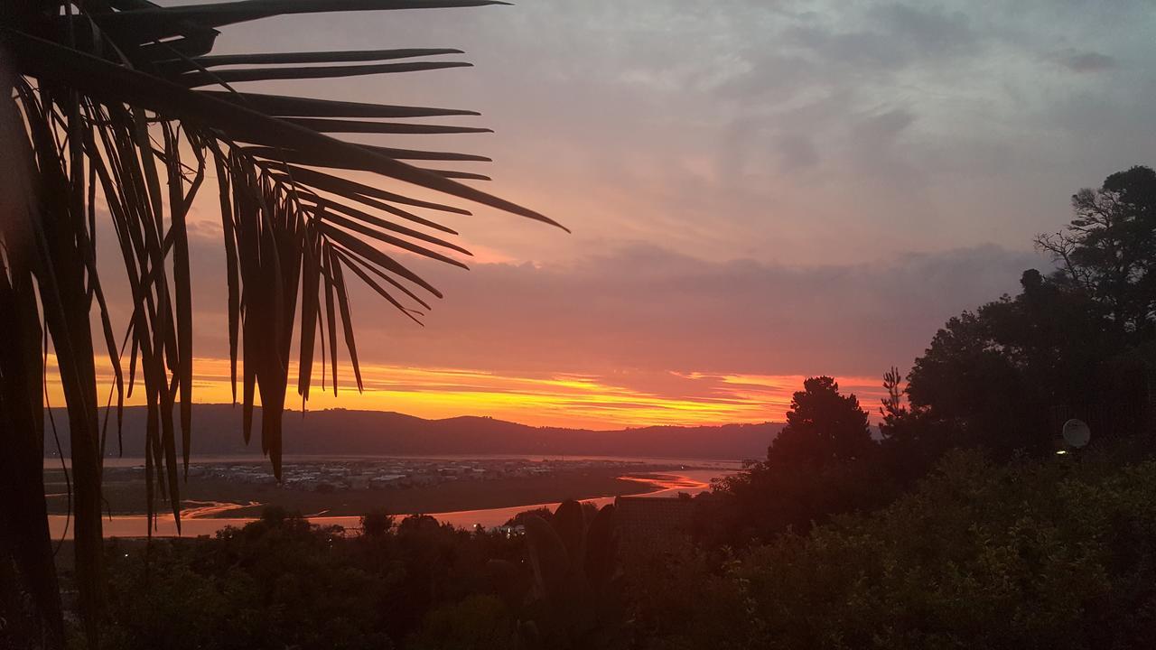 Big Tree House Lodge Knysna Kültér fotó