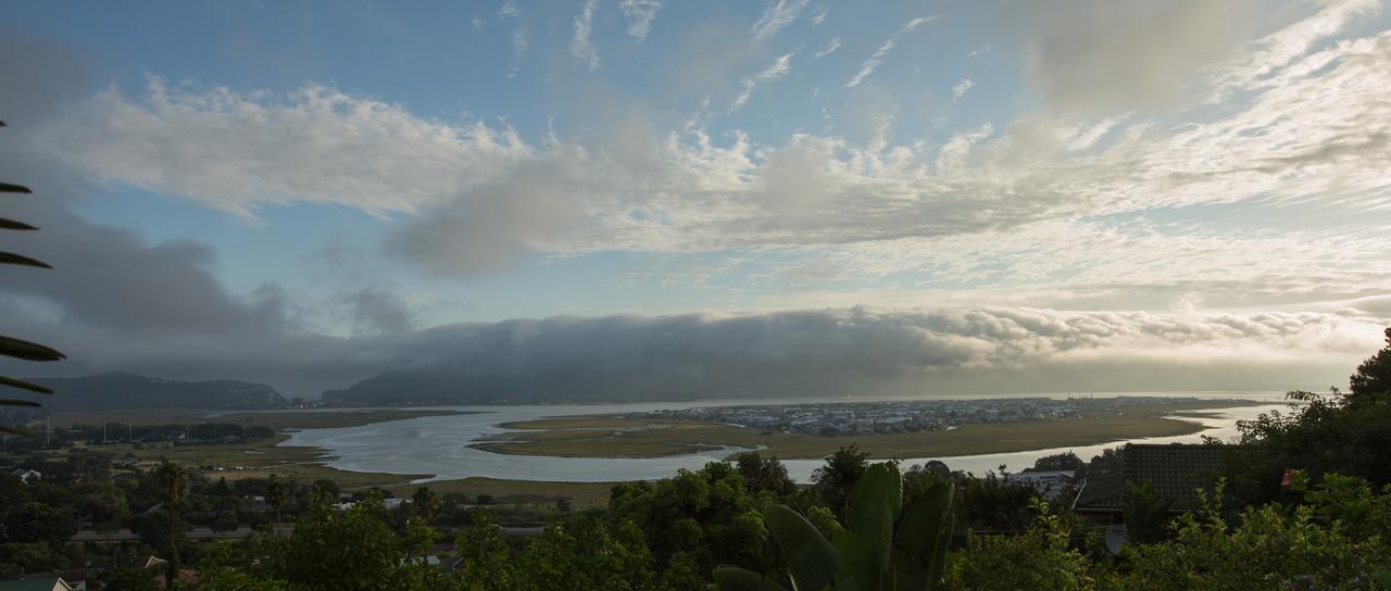 Big Tree House Lodge Knysna Kültér fotó