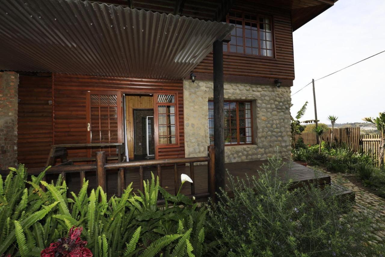 Big Tree House Lodge Knysna Kültér fotó