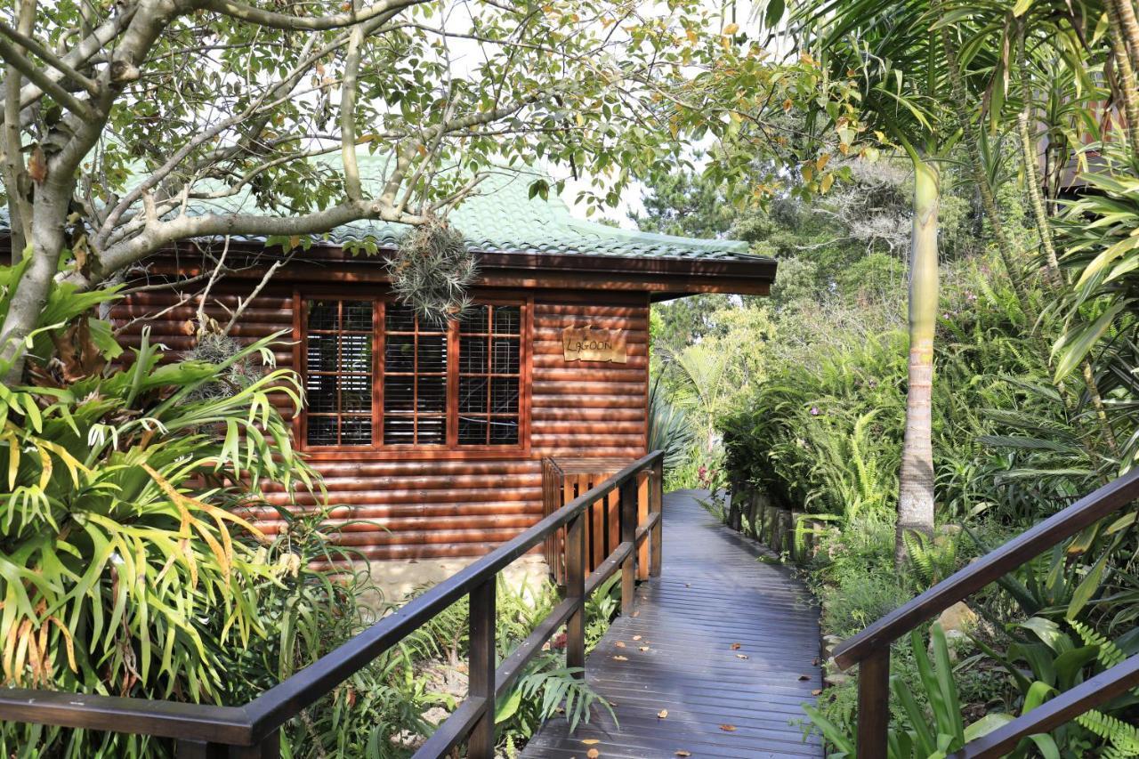 Big Tree House Lodge Knysna Kültér fotó